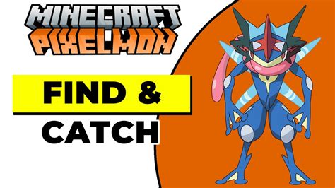 ash greninja pixelmon|best evs for greninja pixelmon.